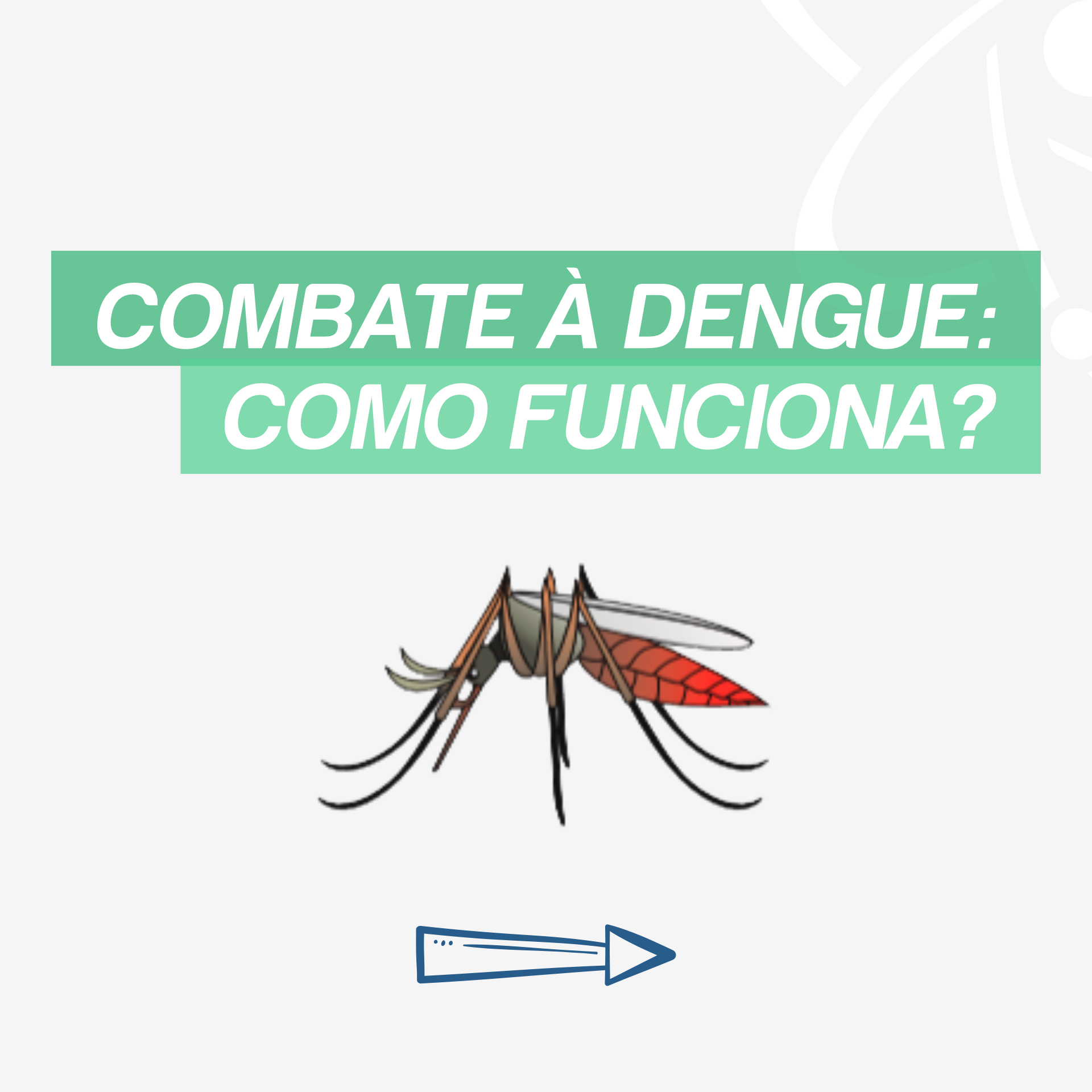 Como funciona o combate à dengue